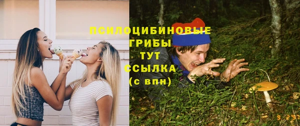 хмурый Алзамай