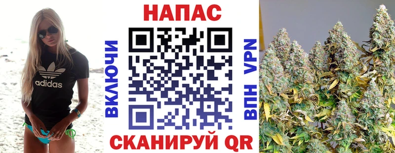 нарко площадка клад Солнечногорск Каннабис Ganja